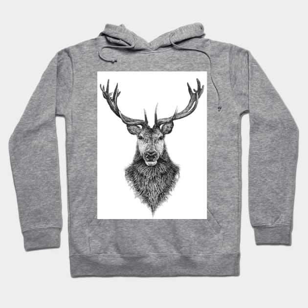 the highland stag Hoodie by David Dots